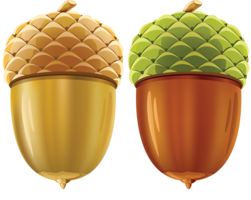 nature & acorn free transparent png image.