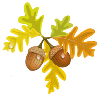 nature & acorn free transparent png image.