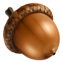 nature & Acorn free transparent png image.