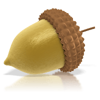 nature & Acorn free transparent png image.