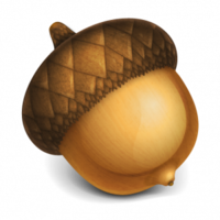 nature & acorn free transparent png image.