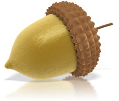 nature & Acorn free transparent png image.