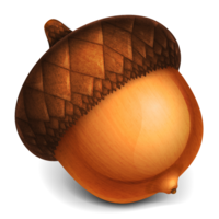 nature & Acorn free transparent png image.