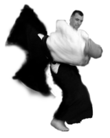 sport & aikido free transparent png image.