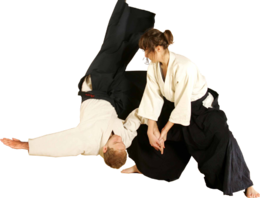 sport & aikido free transparent png image.