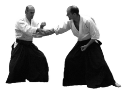 sport & aikido free transparent png image.