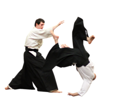 sport & aikido free transparent png image.