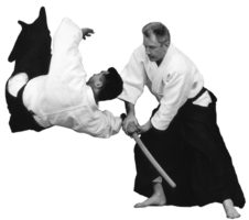 sport & aikido free transparent png image.