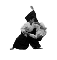 sport & aikido free transparent png image.