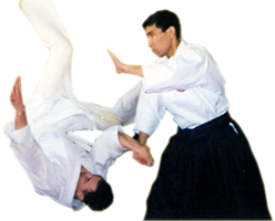 sport & Aikido free transparent png image.