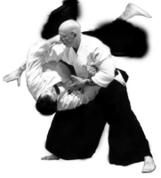 sport & aikido free transparent png image.