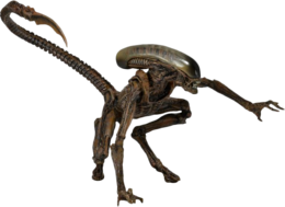 fantasy & Alien free transparent png image.