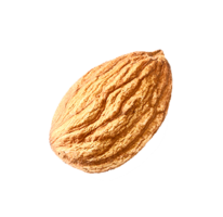 fruits & almond free transparent png image.