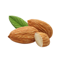 fruits & almond free transparent png image.