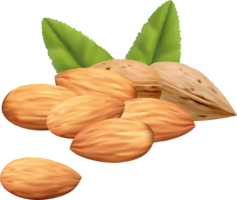 fruits & Almond free transparent png image.