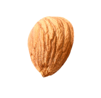 fruits & almond free transparent png image.