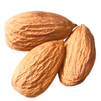 fruits & Almond free transparent png image.