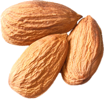 fruits & almond free transparent png image.