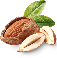 fruits & almond free transparent png image.