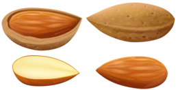 fruits & almond free transparent png image.