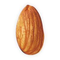 fruits & almond free transparent png image.