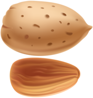 fruits & almond free transparent png image.