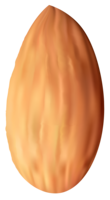 fruits & Almond free transparent png image.