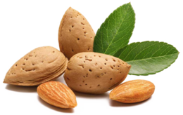 fruits & Almond free transparent png image.