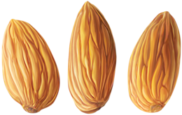 fruits & almond free transparent png image.