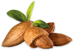 fruits & almond free transparent png image.