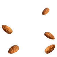 fruits & Almond free transparent png image.