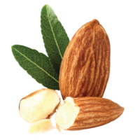 fruits & Almond free transparent png image.