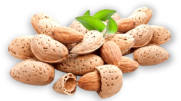 fruits & almond free transparent png image.