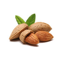 fruits & almond free transparent png image.