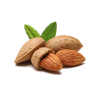 fruits & Almond free transparent png image.