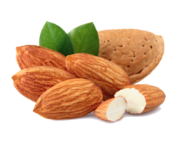 fruits & Almond free transparent png image.