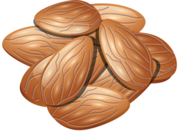 fruits & almond free transparent png image.