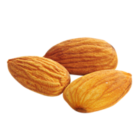 fruits & Almond free transparent png image.