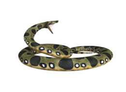 animals & anaconda free transparent png image.