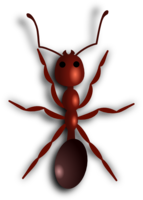 insects & ants free transparent png image.