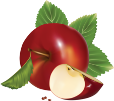 fruits & apple free transparent png image.