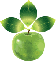 fruits & apple free transparent png image.