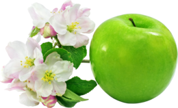 fruits & apple free transparent png image.