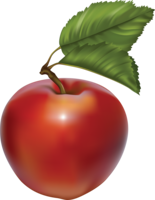 fruits & apple free transparent png image.