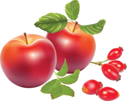 fruits & apple free transparent png image.