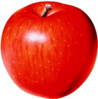 fruits & apple free transparent png image.