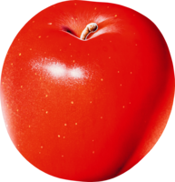 fruits & apple free transparent png image.