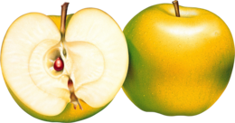 fruits & Apple free transparent png image.