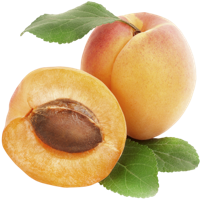 fruitsfruits & apricot free transparent png image.