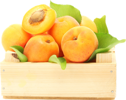 fruitsfruits & apricot free transparent png image.